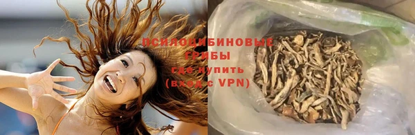 mdpv Богданович