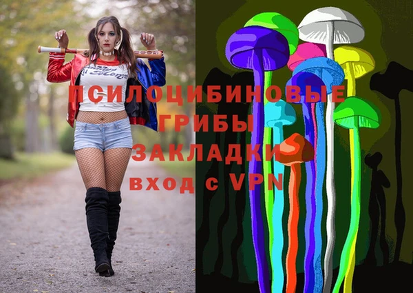 прущий лед Богородск