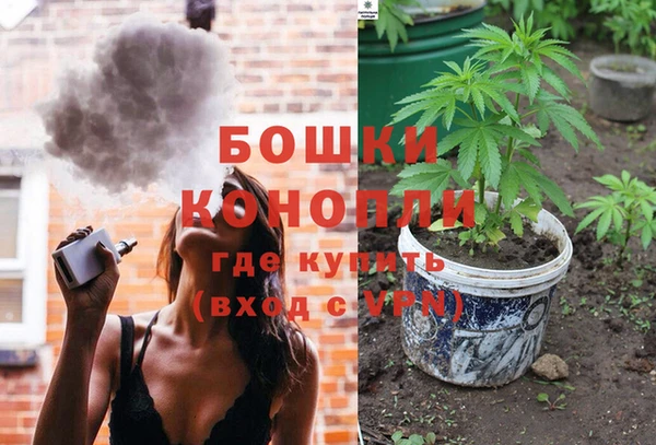 mdpv Богданович