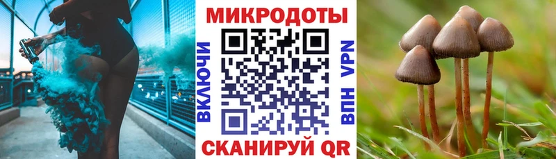 дарнет шоп  Белоозёрский  Галлюциногенные грибы мухоморы 